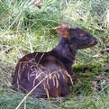 Thumbnail for Ecuador Declares New Nature Reserve in Heavily Deforested Area