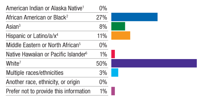 Race and Ethnicity of All Staff