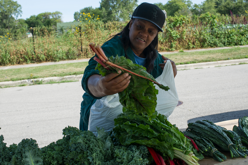 Womanselectingharvestedgreensandvegetables