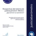 Thumbnail for Perspectivas del sistema de justicia en México