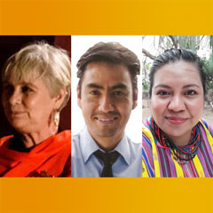 Authors: Graciela Freyermuth, David Meléndez, Hilda Argüello