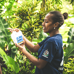 Display photo of World Mosquito Program