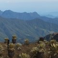 Thumbnail for Assessing Biodiversity Vulnerability in the Tropical Andes