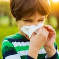 Thumbnail for Climate Change Could Exacerbate Allergies, Asthma