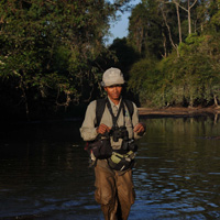 cambodia forest