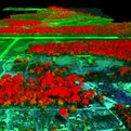 Thumbnail for Ecologist Explains How He Maps Ecosystems