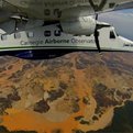 Thumbnail for Mapping Project Reveals Gold Mining Ravaging Peru