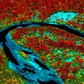Thumbnail for Remote Sensing Technology Creates High Definition Maps of Sensitive Ecosystems