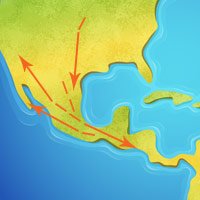 Central Amer Migration