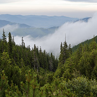 Conserv_200