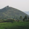 Thumbnail for European Commission Joins Conservation Fund