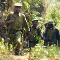 Thumbnail for Database Helps Uganda Fight Wildlife Crime in Real-time
