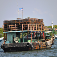 Cuba fishing