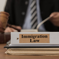 Representation Could Make Immigration System More Effective