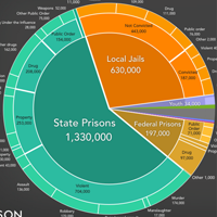 Jail-pie-chart-200