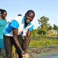 Thumbnail for Stories of Impact from Lake Victoria Basin