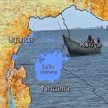 Thumbnail for Protecting People and the Environment in Lake Victoria Basin