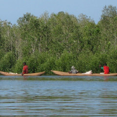 Building a Movement to Represent Madagascar’s Small-Scale Fishing Communities 