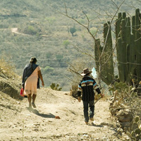 mexico migration