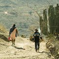 Thumbnail for Forensic Commission Created to Investigate Crimes against Migrants
