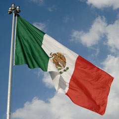 Mexico flag 240