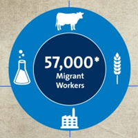 Migrant worker graph
