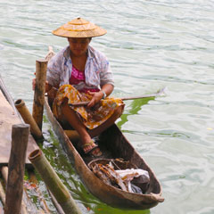 Nam Pang River 240