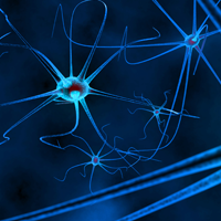 Neuron-Neuroscience-200