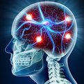Considering Ethics and Neuroscience in the Justice System thumbnail