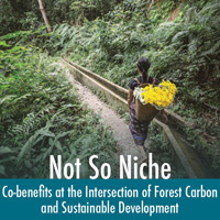 Co-Benefits at the Intersection of Forest Carbon and Sustainable Development