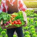 Thumbnail for Initial Issuers Join Online Impact Investing Marketplace