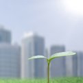 Thumbnail for Ten Community Projects Awarded Partners for Places Grants
