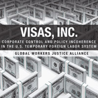 visas inc report
