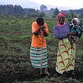 MacArthur Commits $176 Million to Conservation and Sustainable Development, Shares New Strategy thumbnail
