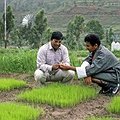 $5.6 Million to Support New Master’s Programs to Train Sustainable Development Leaders Worldwide thumbnail