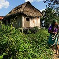 Fundación para la Sobrevivencia del Pueblo Cofán (COFAN) thumbnail