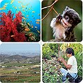 Ten Principles Can Guide Business and Biodiversity Offsets thumbnail