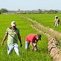 Sustainable Coastal Communities in Dominican Republic thumbnail