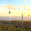 Coordinating and Spurring Investments in Climate Solutions thumbnail