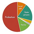 Community Supervision and Incarceration thumbnail