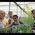 University of California, Davis, Master's in Development Practice Program thumbnail