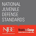 National Juvenile Defense Standards Published thumbnail