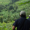 NatureServe thumbnail