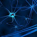Applying Neuroscientific Lie Detection in Court thumbnail
