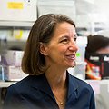 Bioengineer Rebecca Richards-Kortum | 2016 MacArthur Fellow thumbnail