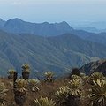 Assessing Biodiversity Vulnerability in the Tropical Andes thumbnail