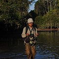 Cambodia Creates New Protected Forest thumbnail