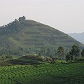 European Commission Joins Conservation Fund thumbnail
