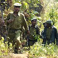 Database Helps Uganda Fight Wildlife Crime in Real-time thumbnail