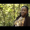 Albertine Rift Conservation Society, 2012 MacArthur Award for Creative and Effective Institutions thumbnail